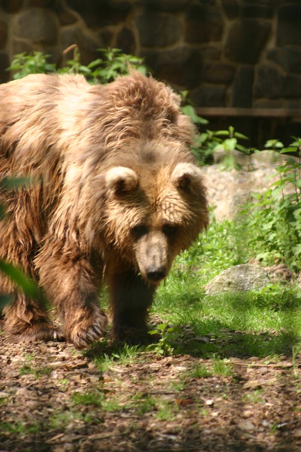 2011040701143738_k-Zoo 026.jpg
